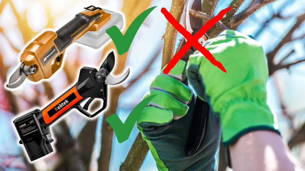 Elektrische Astscheren & Gartenscheren im Vergleich - finde die besten Gartenscheren