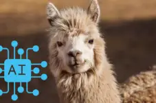 llama 3.2